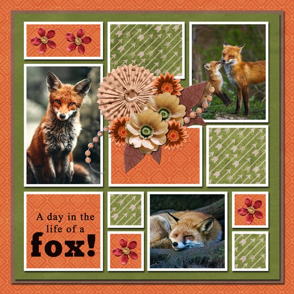 A Day in the Life of a Fox