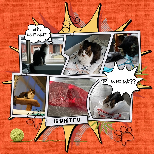 A day in the life of Hunter