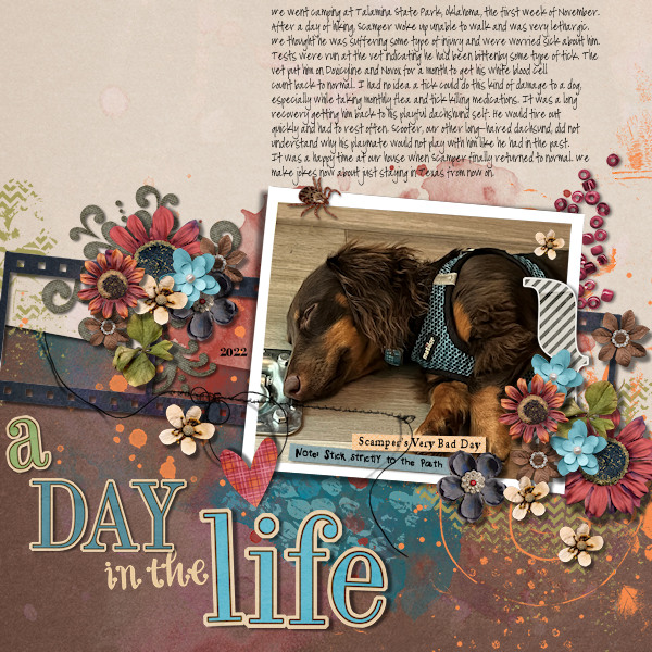 A Day In The Life