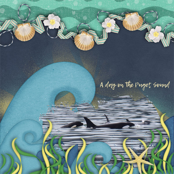 A Day on the Sound