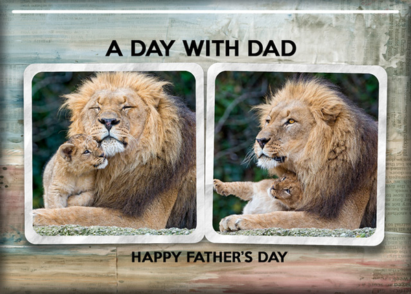 A DAY WITH DAD