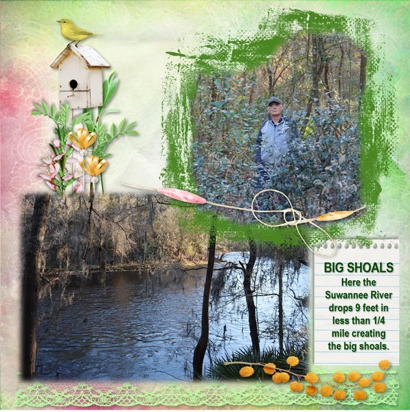 A Dear in the Woods
