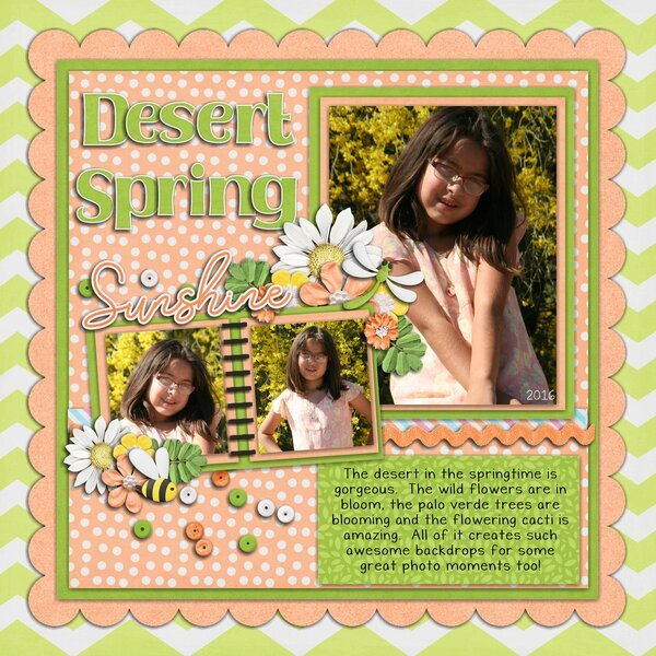 A Desert Spring Day