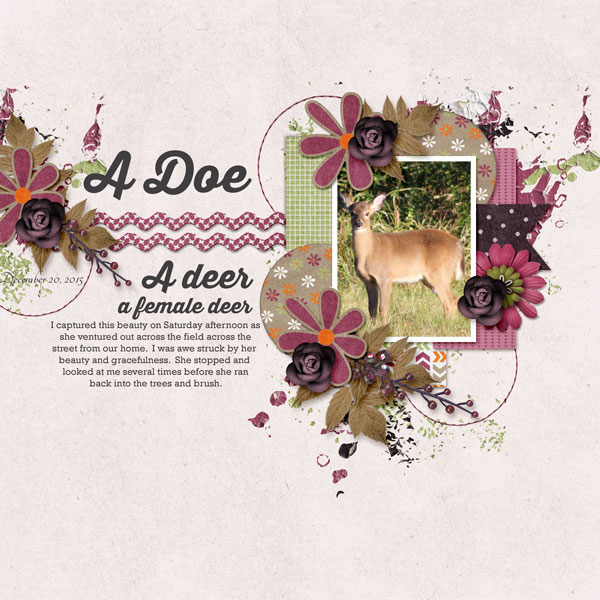 A Doe, A Deer
