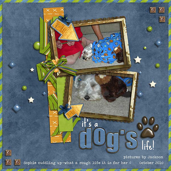 A Dog's Life