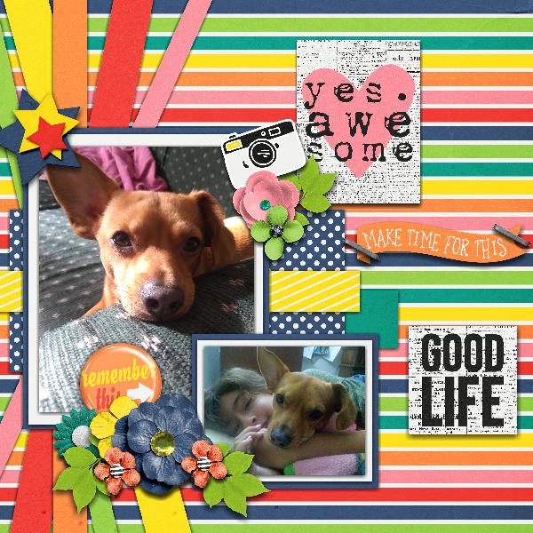 A Dog's Life