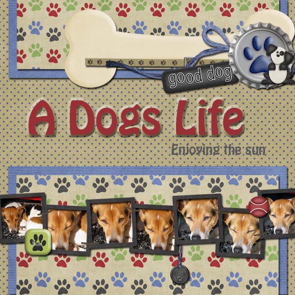 A dog's life