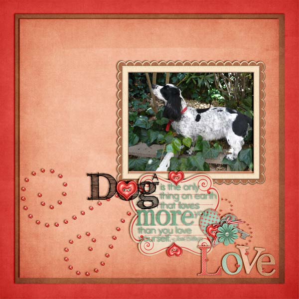 A Dog's Love
