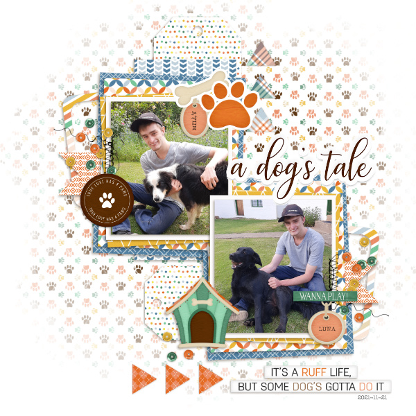 A Dogs Tale