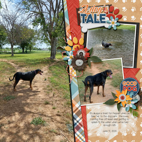 A Dog's Tale