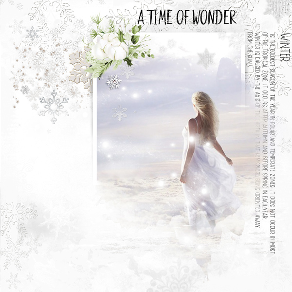 A Dream of the White Christmas