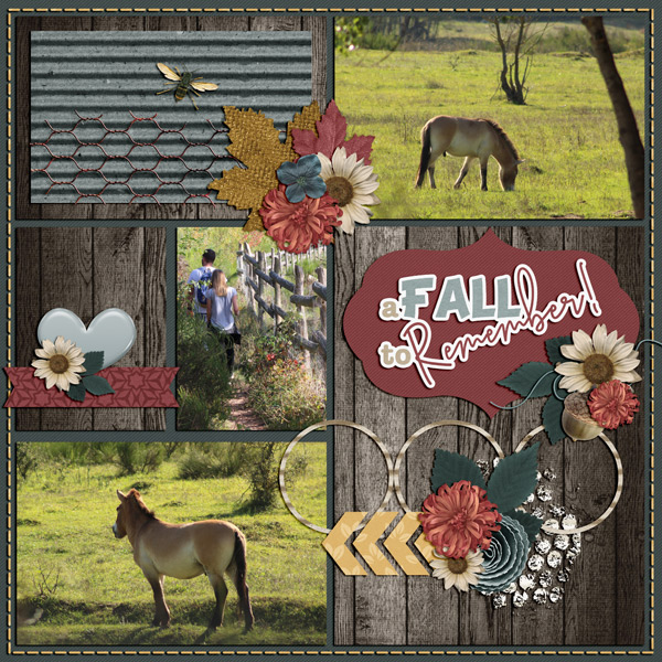 a fall to remember