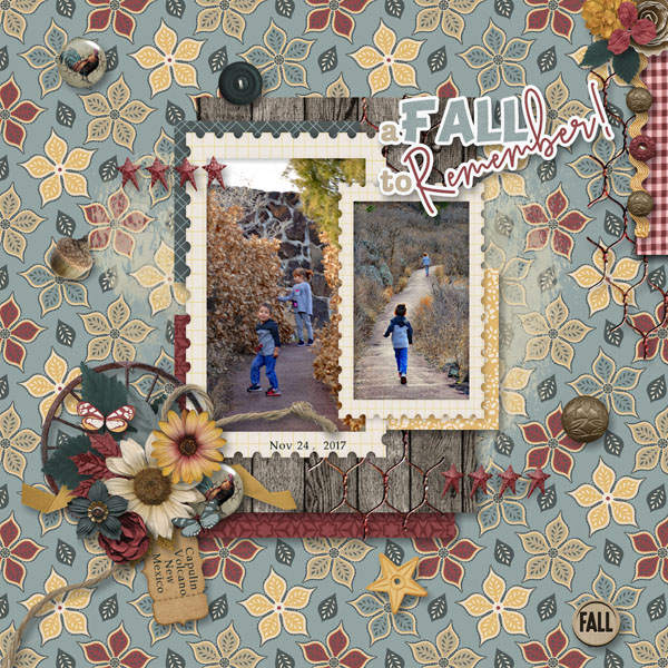 A Fall To Remember