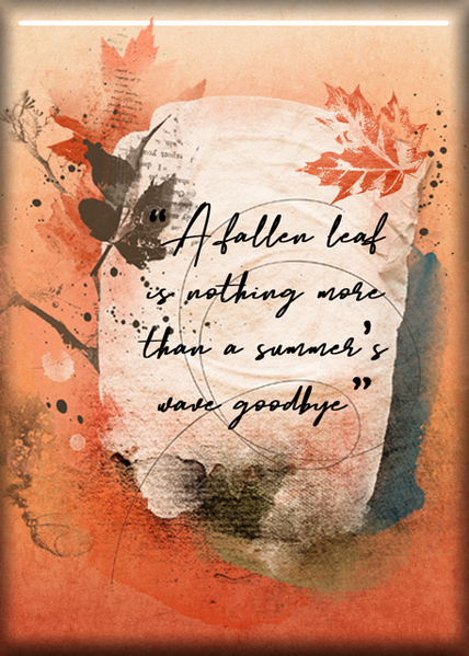 A Fallen Leaf