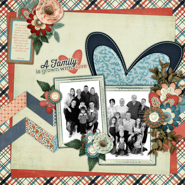 A family is..