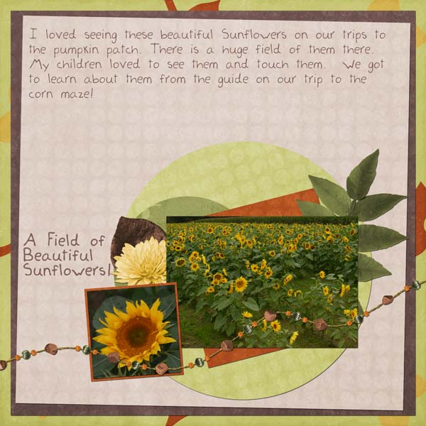 A Field of Beautiful Sunflowers