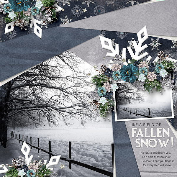 A FIELD OF FALLEN SNOW