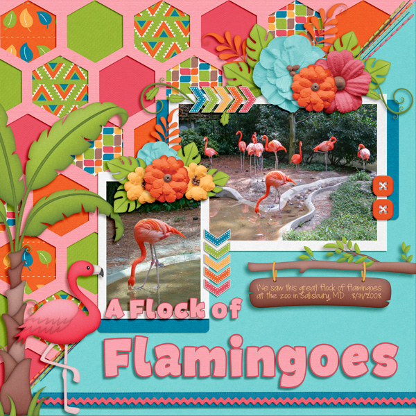 A Flock of Flamingoes