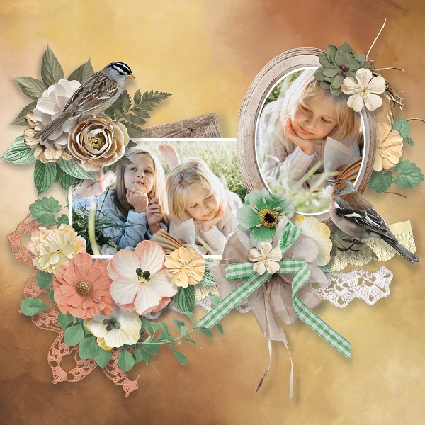 A Fresh Start