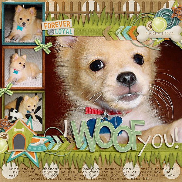 A friend for Toto!