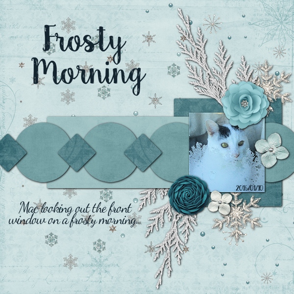 A Frosty Morning