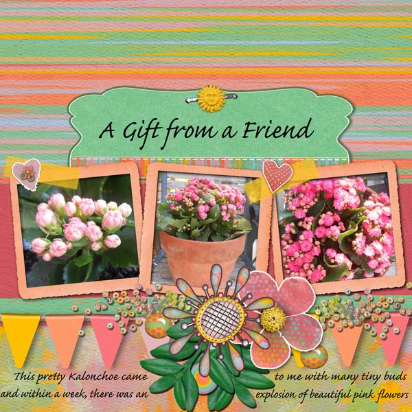 A Gift From a Friend