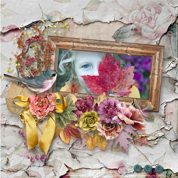 A harvest of memories