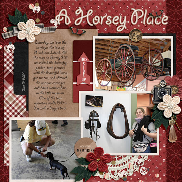 A Horsey Place