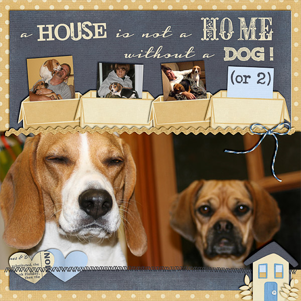 A House...