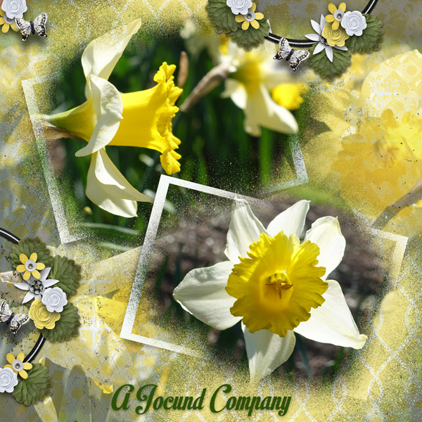A Jocund Company
