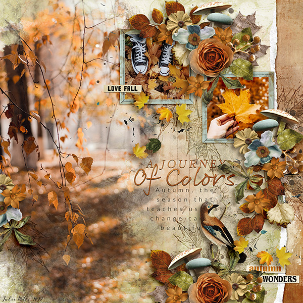 a journey of colors