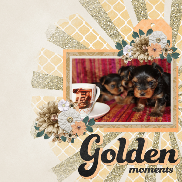 A Last Golden Memory