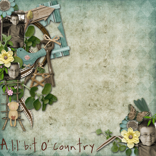 A Lil Bit O Country