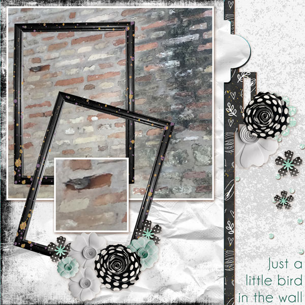 A Little Bird in the Wall