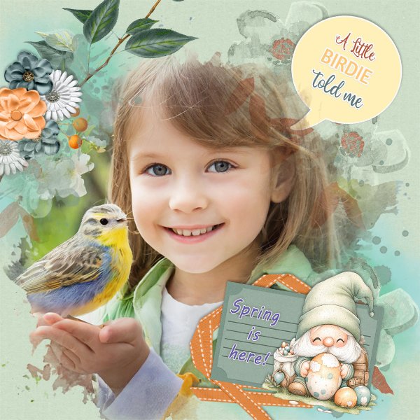 A-Little-Bird-told-me