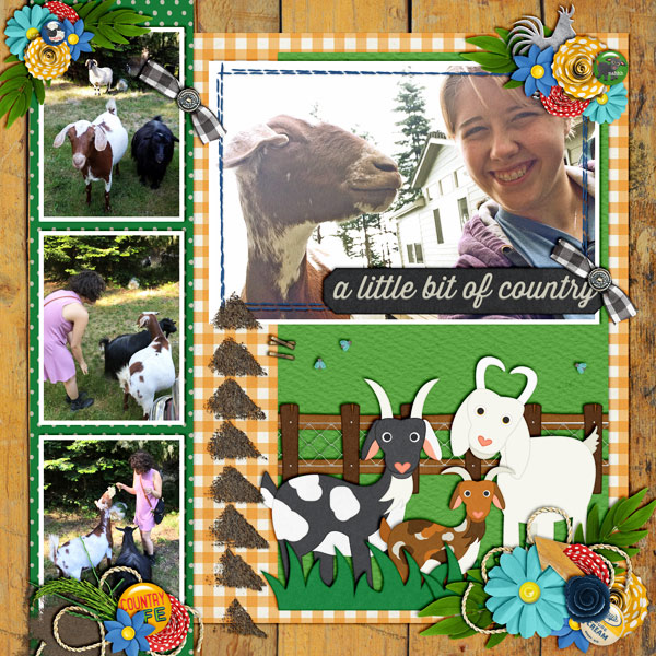 A Little Bit Country