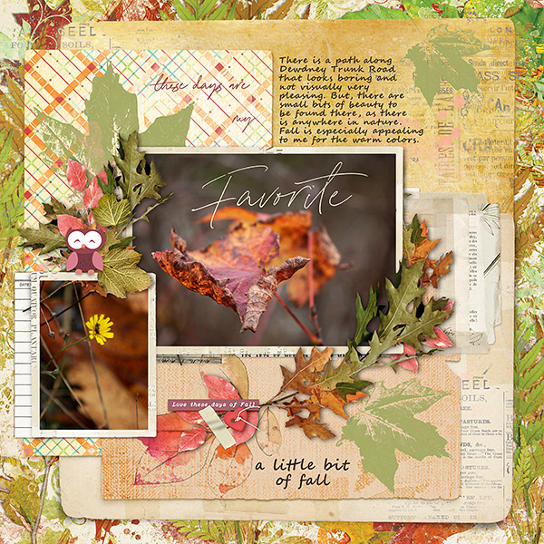 A Little Bit of Fall