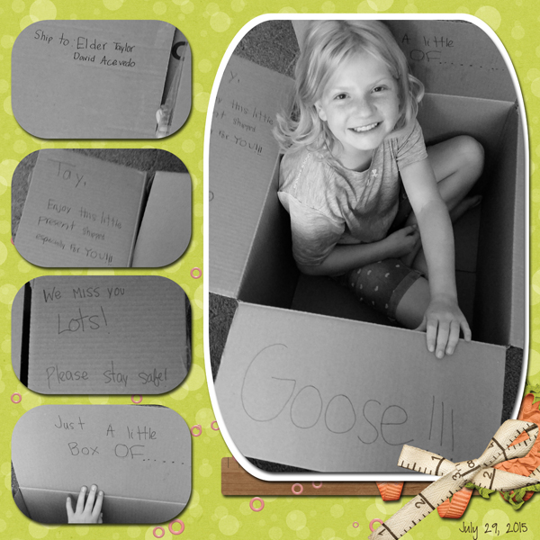 A Little Box of Goose