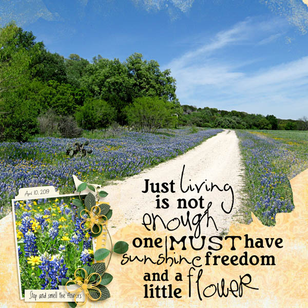 A Little Flower