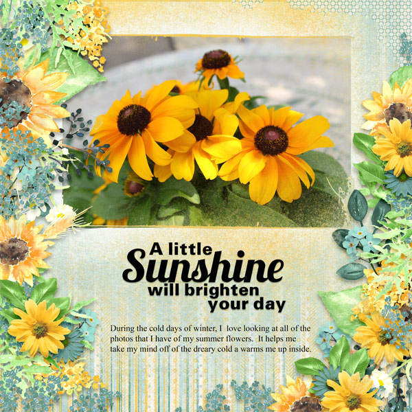 A Little Sunshine