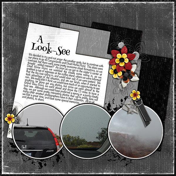 A Look-See
