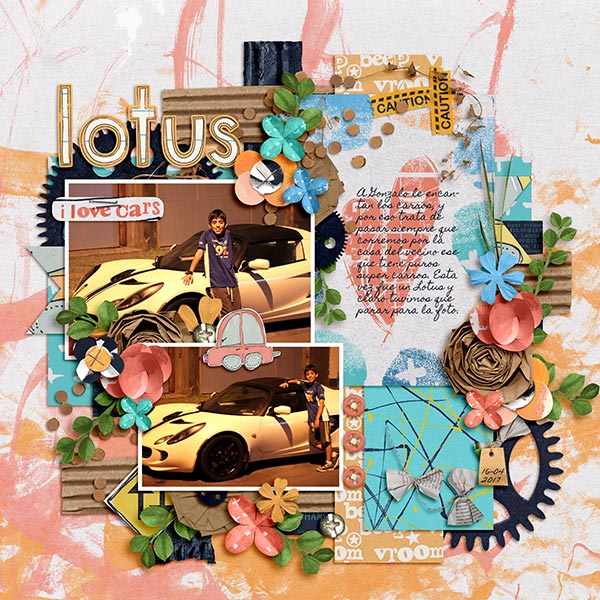 a lotus