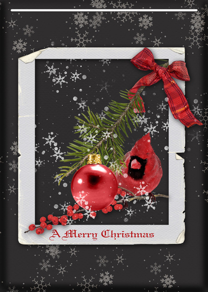 A Merry Christmas