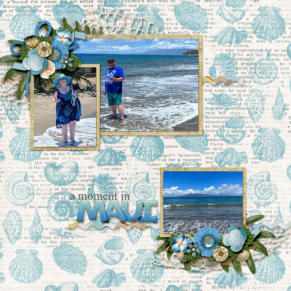 A Moment in Maui