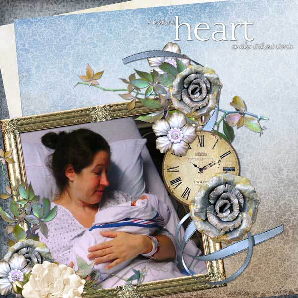 A-Mother_s-HeartWEB