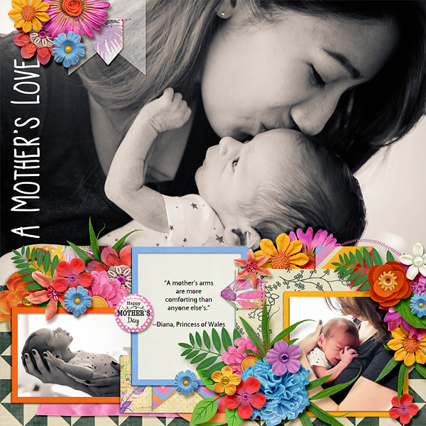 A Mothers Love