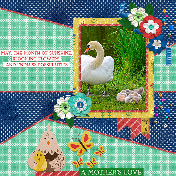 A Mother's Love