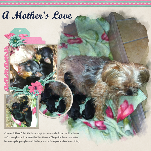 A Mother's Love