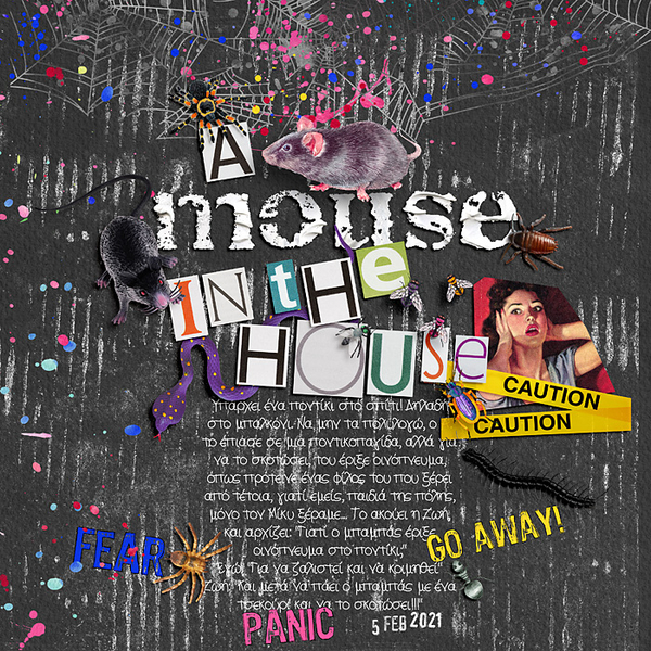 A mouse in the house