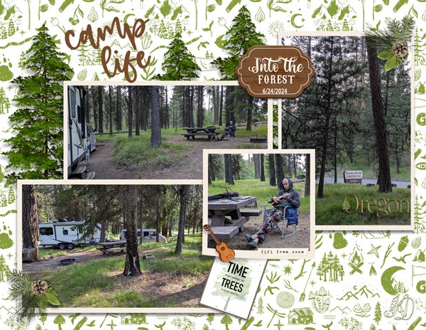 a music adventure in the forest